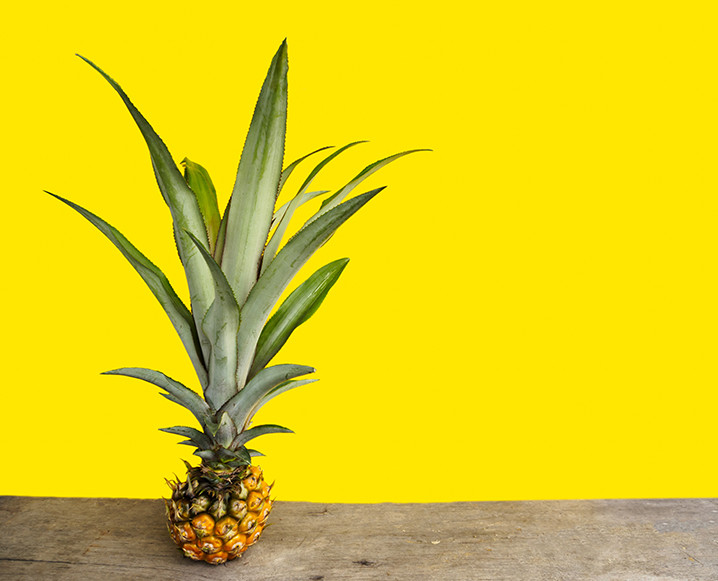 One mini pineapple on a wooden table and bright yellow background