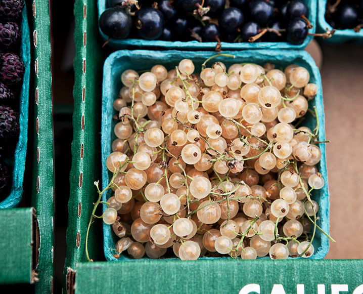 colorful grapes