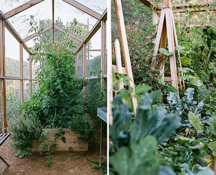 edible garden greenhouse