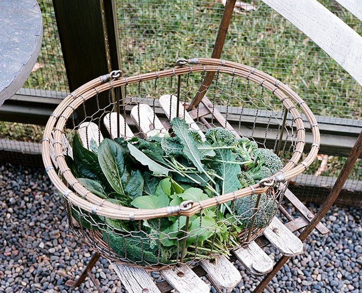 fresh greens in garden basket