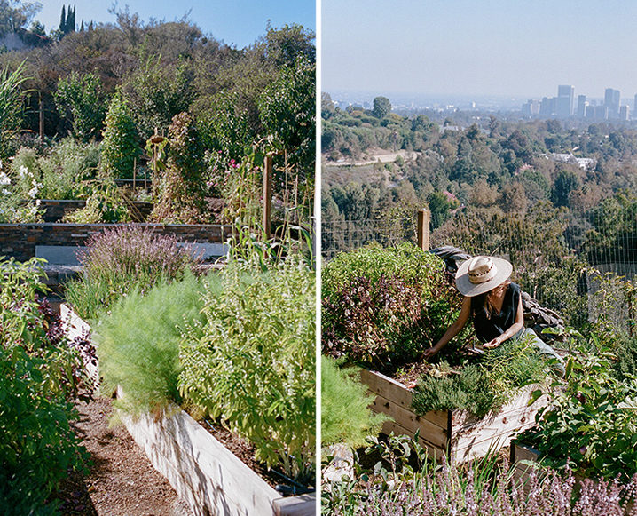 edible gardens in la