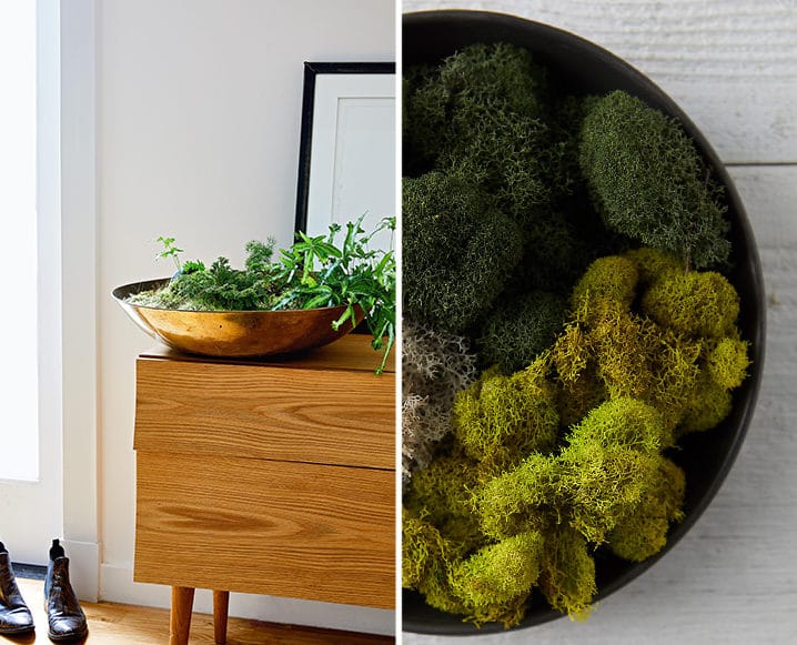 moss bowl DIY