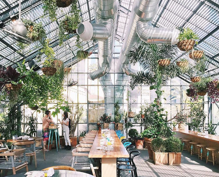 beautiful restaurants with nature