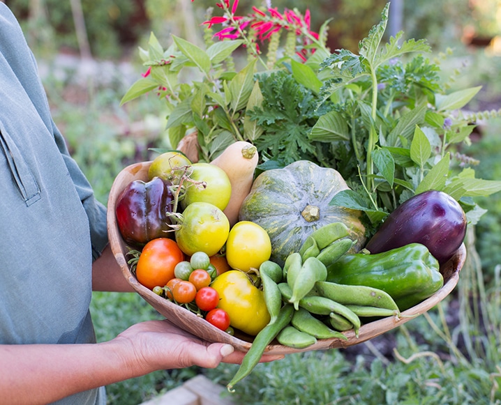 wellness trends healthy basket of fresh vegetables