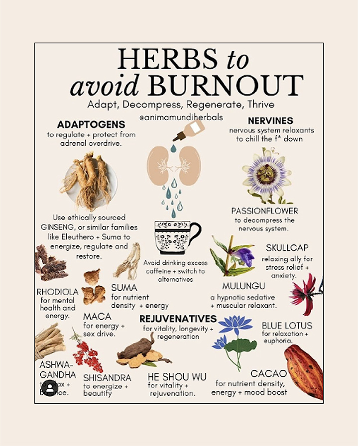 herbs for stress chart